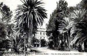 Hammam-Righa - Grand Hotel - Allee - 1937